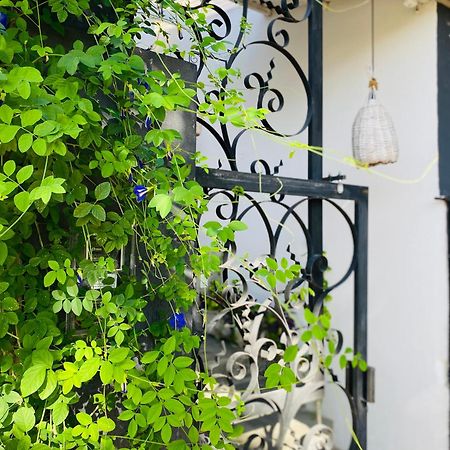Casa Elsa Pipa Apartment Praia de Pipa ภายนอก รูปภาพ