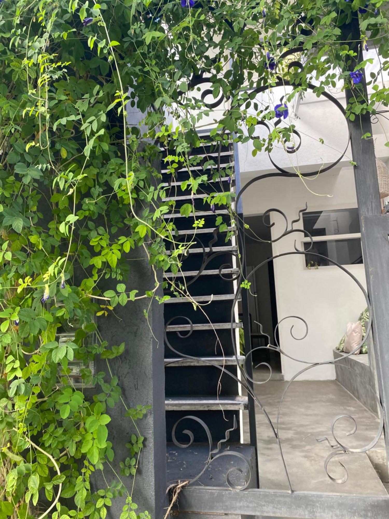 Casa Elsa Pipa Apartment Praia de Pipa ภายนอก รูปภาพ