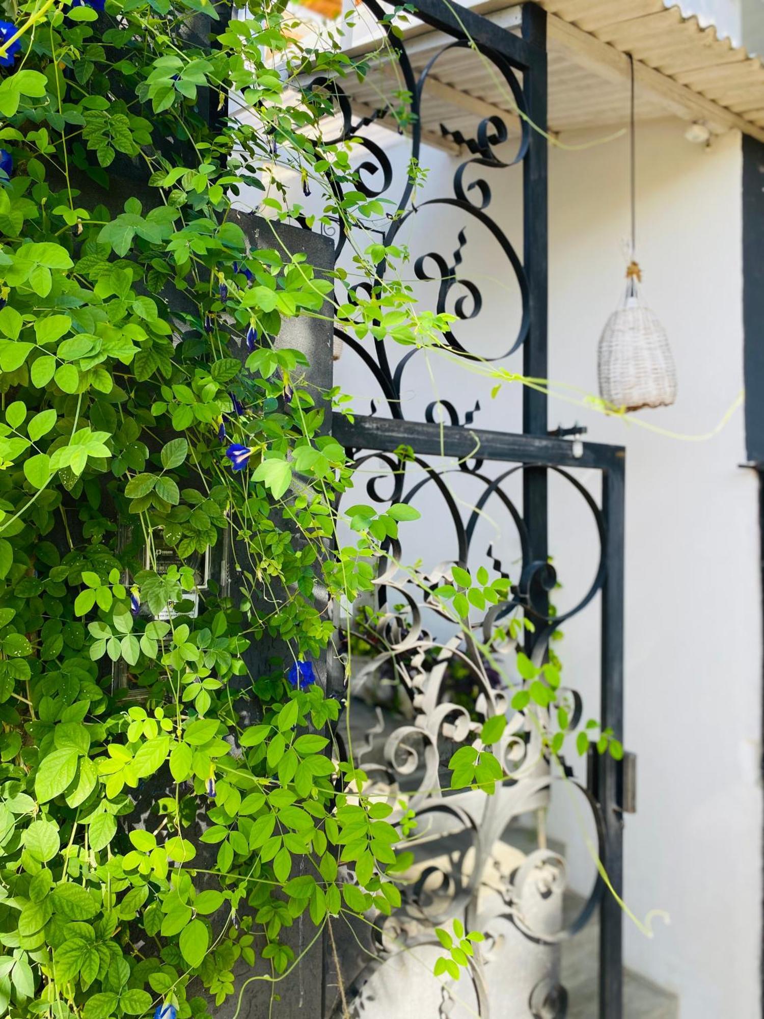 Casa Elsa Pipa Apartment Praia de Pipa ภายนอก รูปภาพ